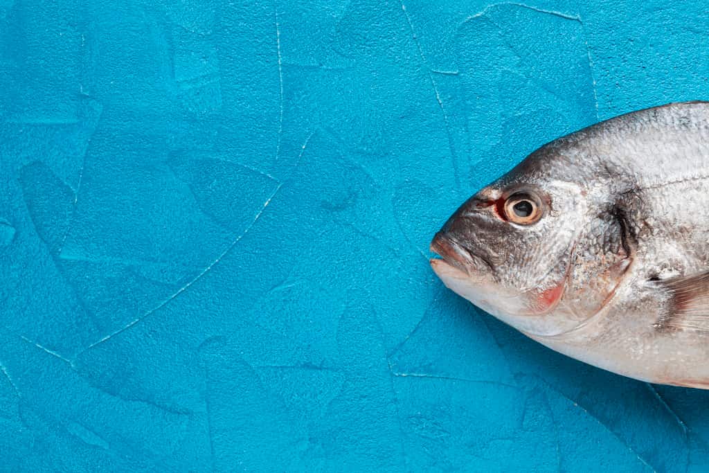 tipos de pescado azul